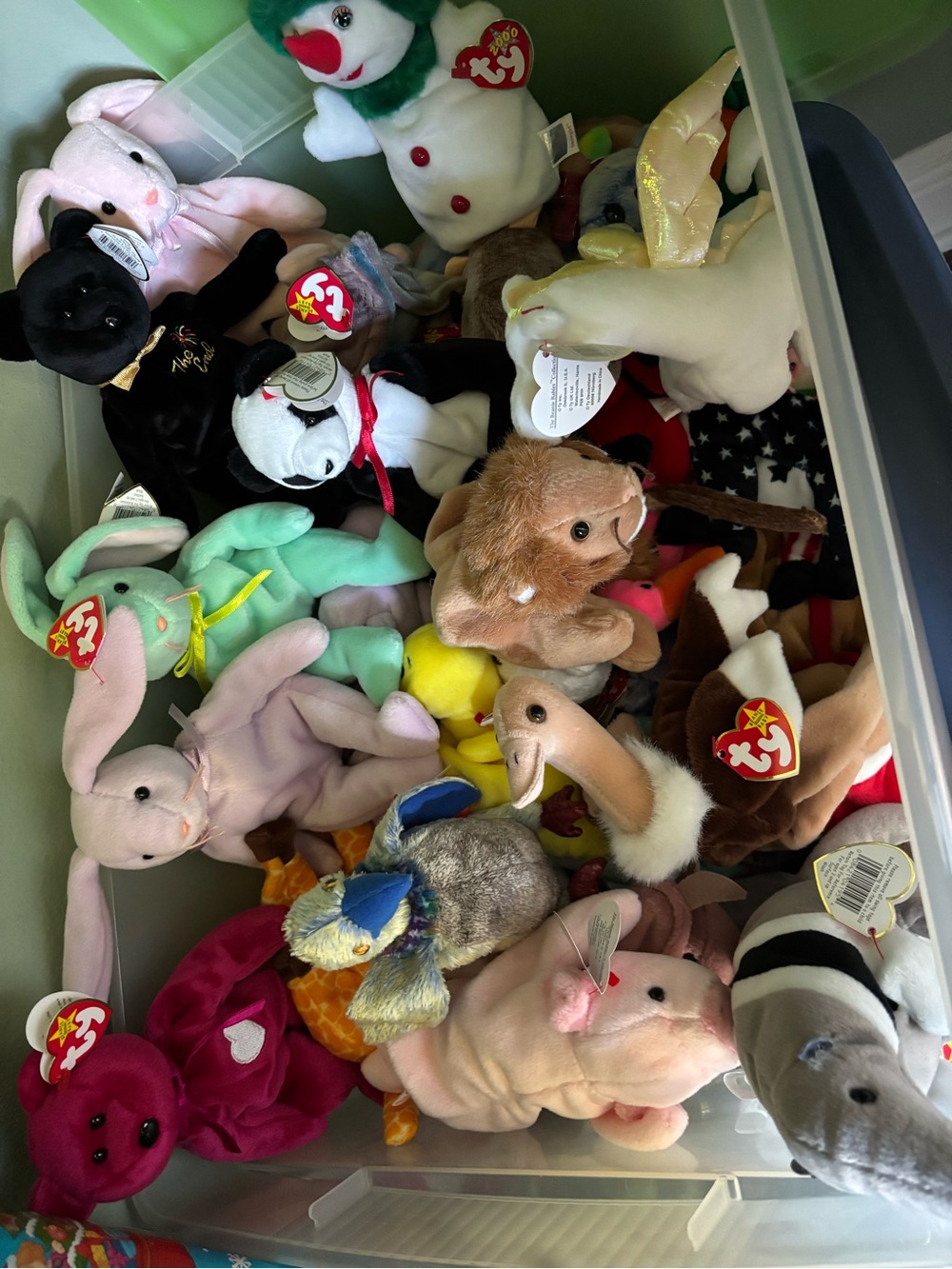 Ty Multi-Color Beanie Baby Plush Lot -
 226 sort after vintage beanie babies,